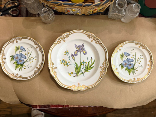 Spode stafford flowers y8519 - stafford,